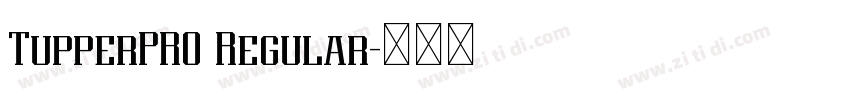 TupperPRO Regular字体转换 TupperPRO Regular字体转换